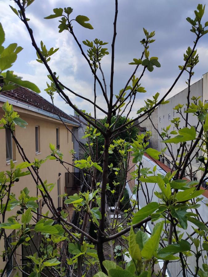 Centar Novi Sad-Apartman No 3 Dış mekan fotoğraf