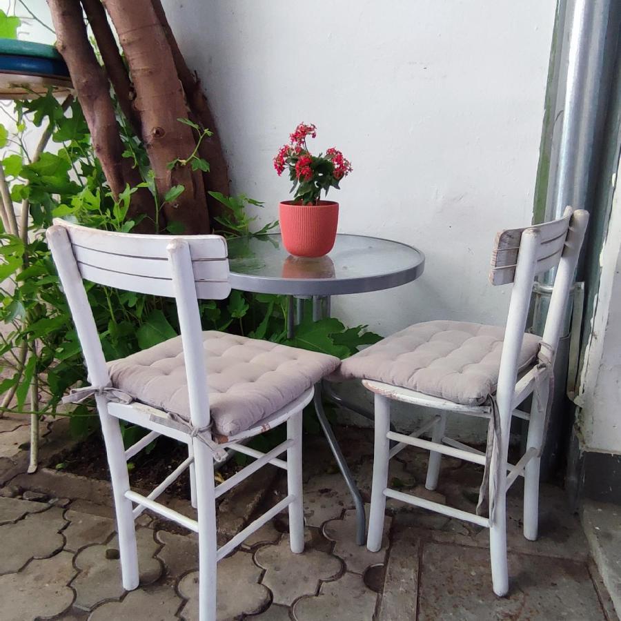 Centar Novi Sad-Apartman No 3 Dış mekan fotoğraf