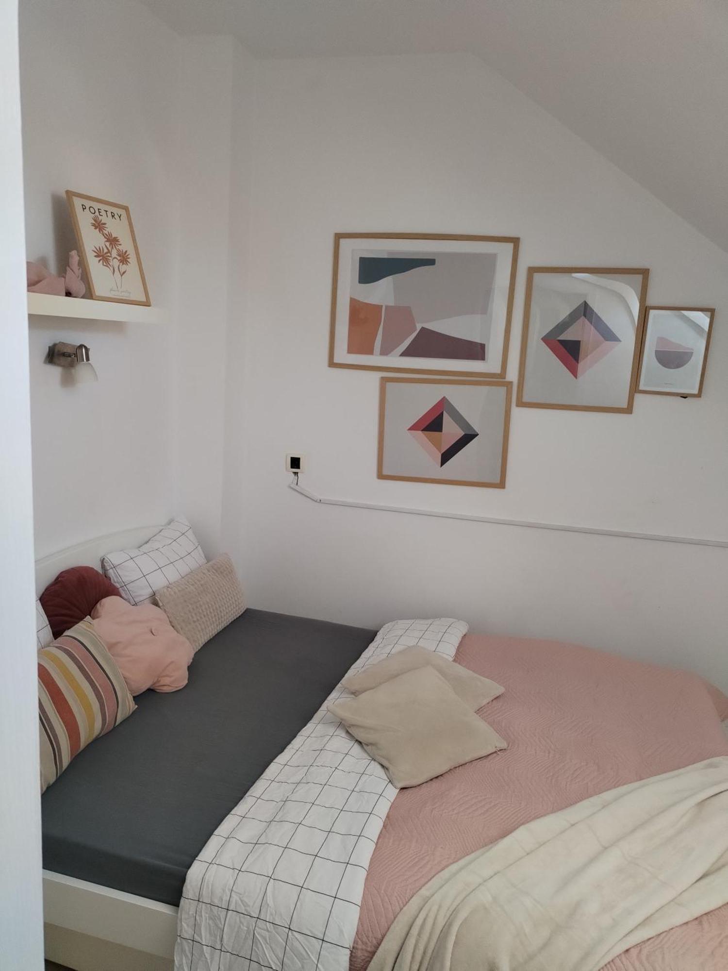 Centar Novi Sad-Apartman No 3 Dış mekan fotoğraf